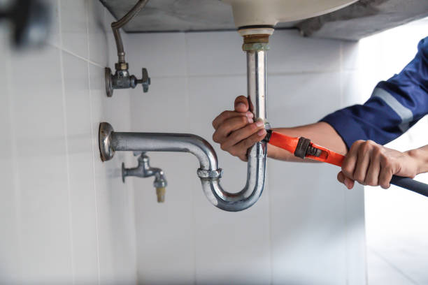 Best Local Plumber Services  in Painesville, OH