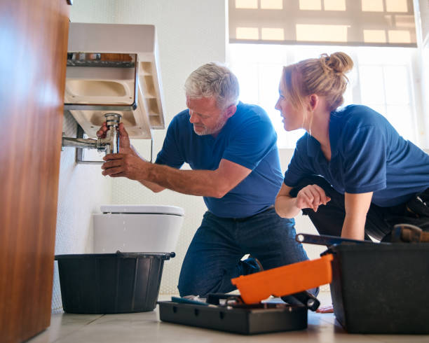 Best Septic Systems  in Painesville, OH